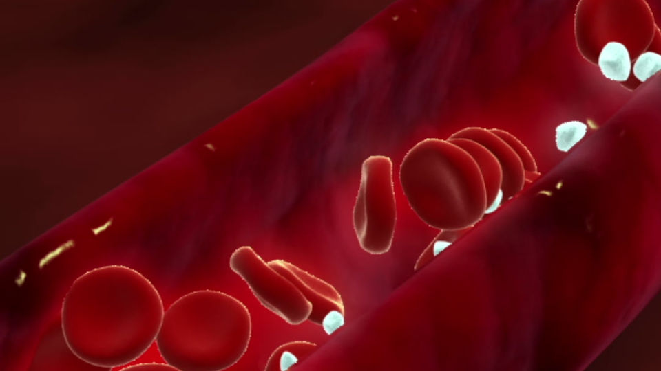 Kočo Rü-LIFEPRO-WaverPlate1